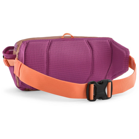 Riñonera Patagonia Black Hole Waist Pack 5L