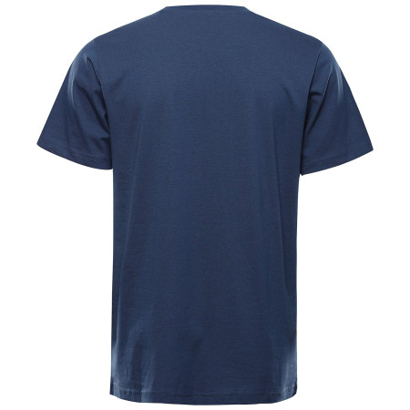 Camiseta de hombre Alpine Pro Termes 3