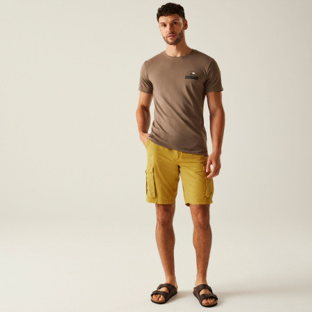 Pantalones cortos de hombre Regatta Shorebay Shorts II