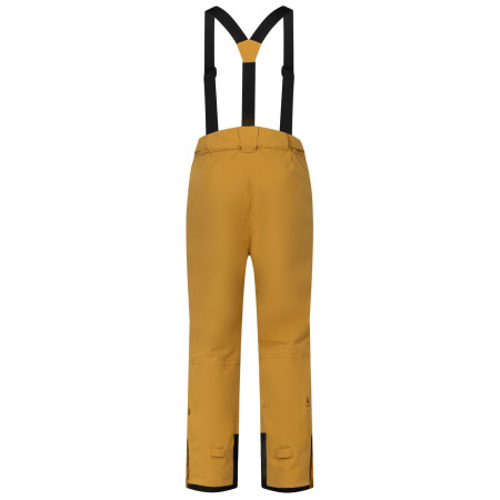 Pantalones de hombre Dare 2b Achieve III Pant regular