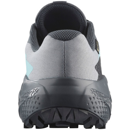 Calzado de mujer Salomon Alphaglide Gore-Tex