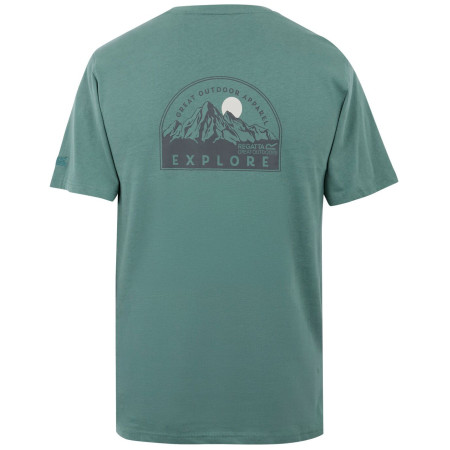Camiseta de hombre Regatta Cline IX