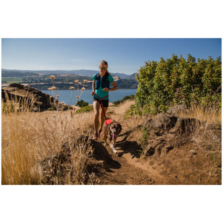Arnés para perro Ruffwear Switchbak™ Harness