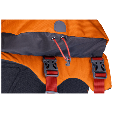 Mochila para perro Ruffwear Approach™ Pack