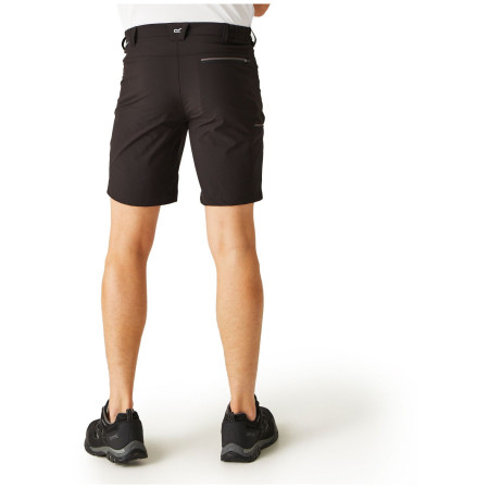 Pantalones cortos de hombre Regatta Xert Stretch Shorts III