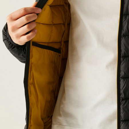 Chaqueta de hombre Regatta Asper