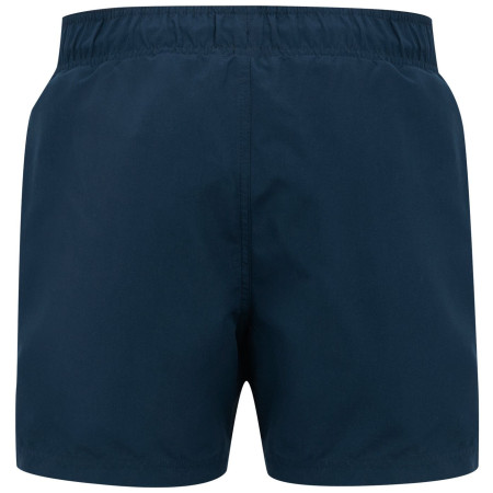 Bañador de hombre Regatta Mawson Swim Shorts III