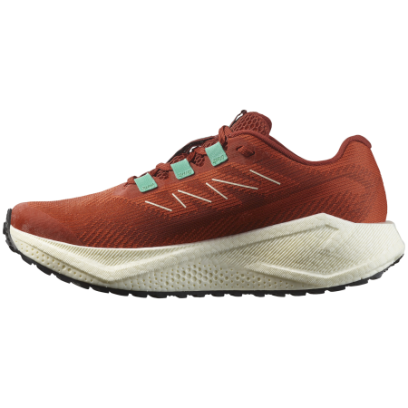Zapatillas de carrera para mujer Salomon Aero Blaze 3 Grvl