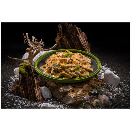 Comida deshidratada Adventure Menu Penne de proteína de grillos con pollo en salsa de crema criolla