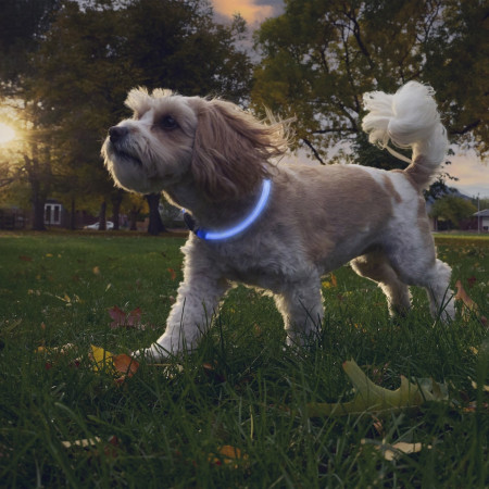 Collar luminoso para perro Nite Ize NiteHowl® Rechargeable LED Safety Necklace