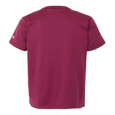 Camiseta para niños Regatta Alvarado IX