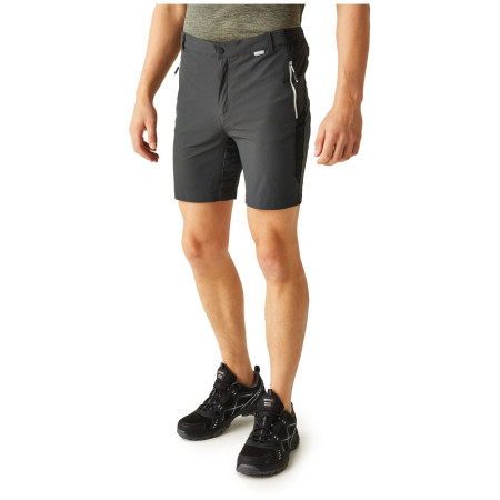 Pantalones cortos de hombre Regatta Mountain ShortsII M