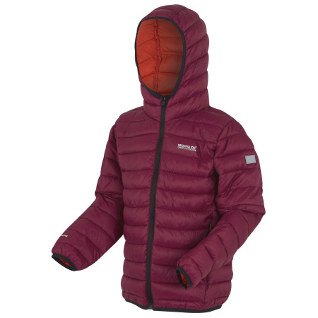 Chaqueta para niños Regatta Junior Hooded Marizion