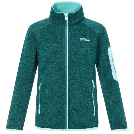 Sudadera para niños Regatta Junior Newhill DrkForGlacGr verde DrkForGlacGr