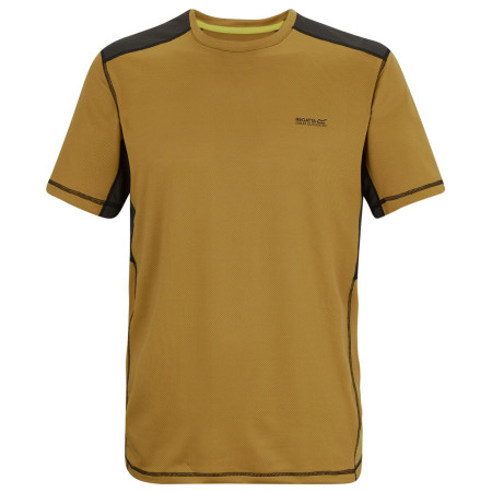 Camiseta de hombre Regatta Virda marrón WdBrn/Blck