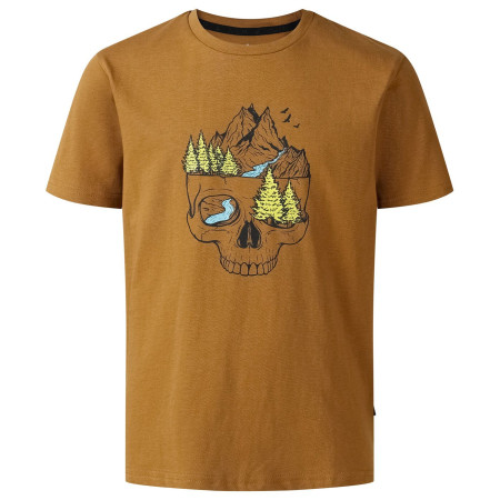 Camiseta para niños Dare 2b Trailbazer III Tee Dark Cumin marrón Dark Cumin