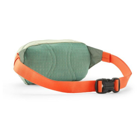 Riñonera Patagonia Terravia Mini Hip Pack