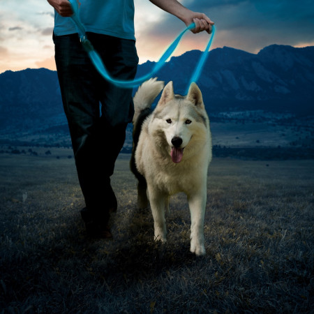 Correa para perro Nite Ize LED NiteDog
