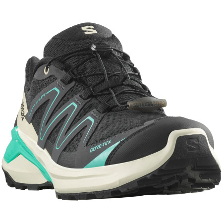 Calzado de senderismo para mujer Salomon Examotion Gore-Tex