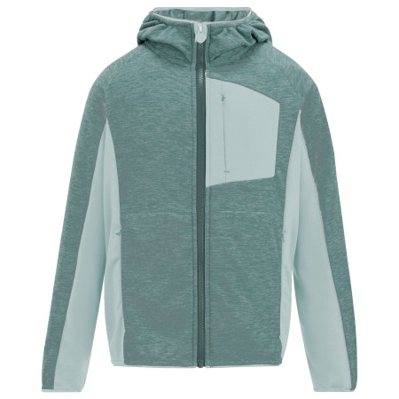 Sudadera para niños Regatta Skylar IvyMossOMist azul/ azul claro IvyMossOMist