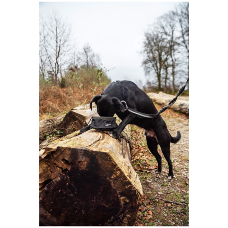 Comedero para perro Mountain Paws Collapsible Dog Food Bowl