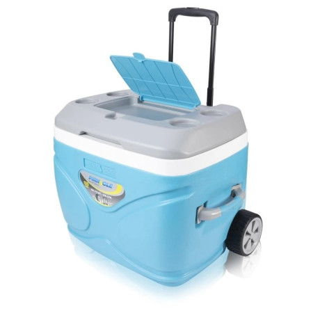 Caja de refrigeración Pinnacle Prudence 66L