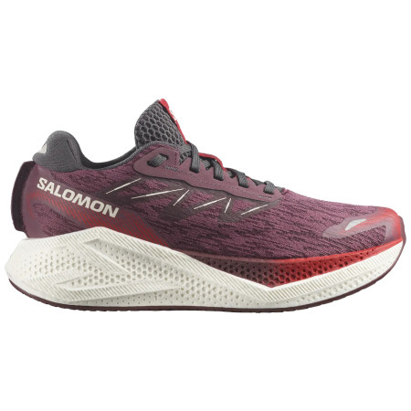 Zapatillas de carrera para mujer Salomon Aero Glide 4