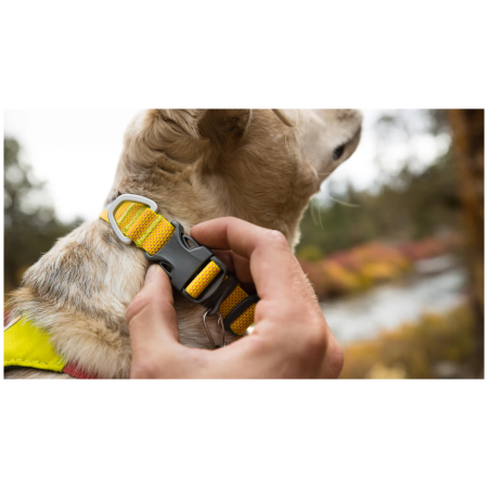 Collar para perro Ruffwear Hi & Light™ Collar