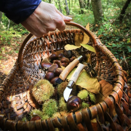 Navaja Opinel N°07 Inox