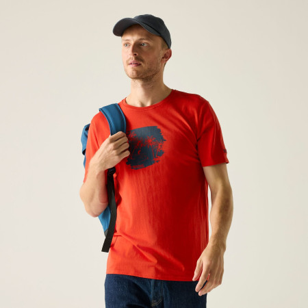 Camiseta de hombre Regatta Cline IX