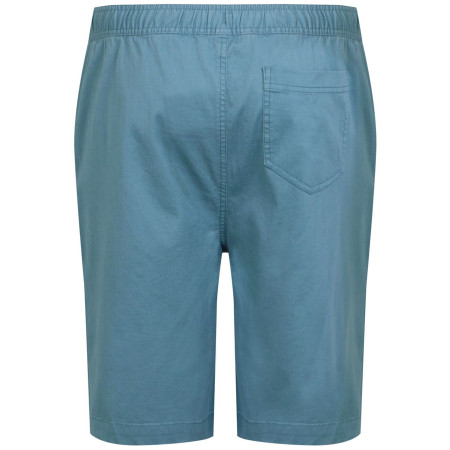 Pantalones cortos de hombre Regatta Aldan Short