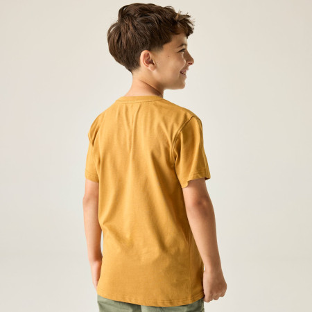 Camiseta para niños Regatta Bosley Wood Brown