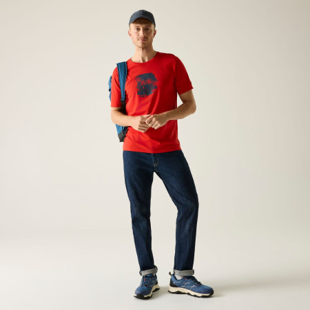 Camiseta de hombre Regatta Cline IX