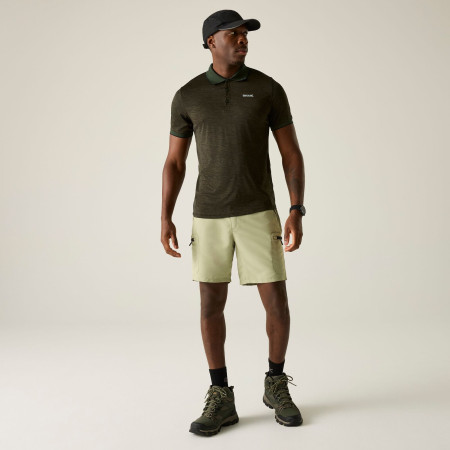 Camiseta de hombre Regatta Remex II