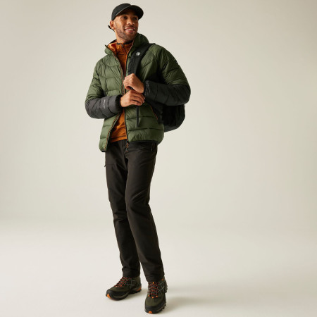 Chaqueta de hombre Regatta Hooded Dalent