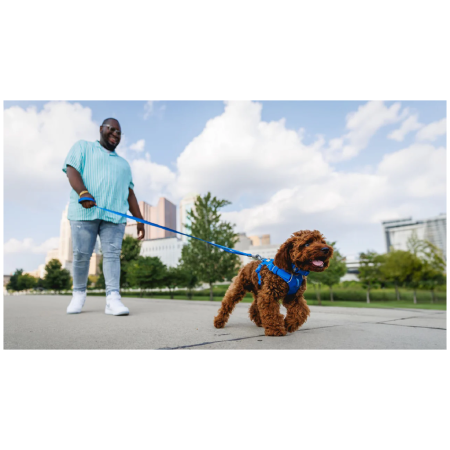 Correa para perro Ruffwear Front Range™ Leash