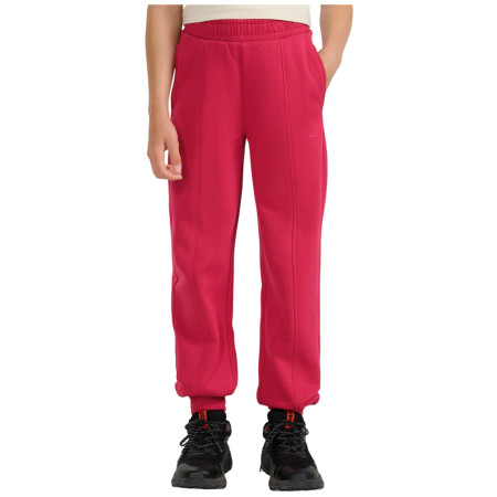 Pantalones de chándal para niños 4F Trousers Cas F1242