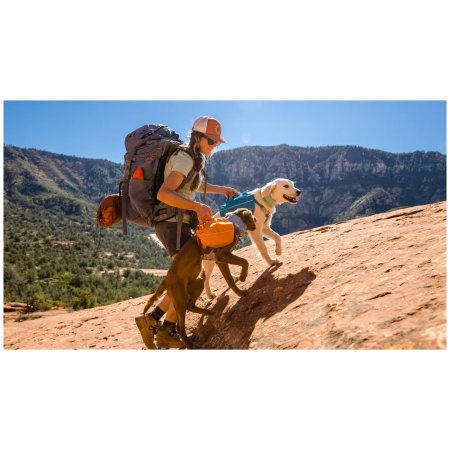 Mochila para perro Ruffwear Approach™ Pack