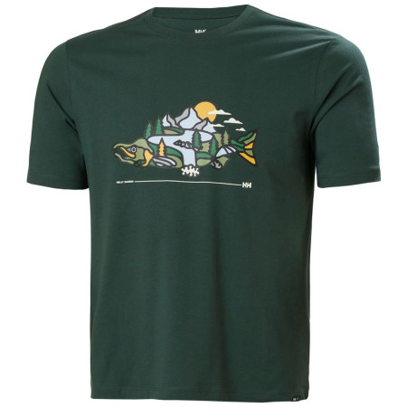 Camiseta de hombre Helly Hansen F2F Organic Cotton Tee 2.0 verde Darkest Spruce