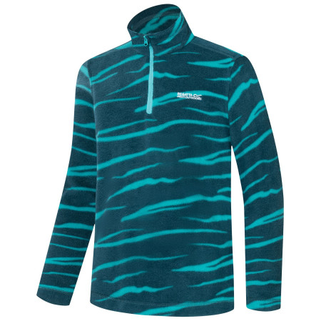 Sudadera para niños Regatta Hot Shot II MeditZebra