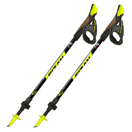 Bastones de caminata nórdica Fizan R-Evolution