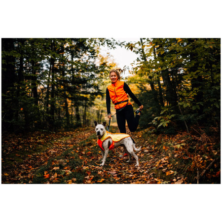 Chaleco reflectante para perro Ruffwear Lumenglow Hi-Viz Jacket