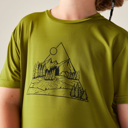 Camiseta para niños Dare 2b Amuse III Tee Goldn Cypress