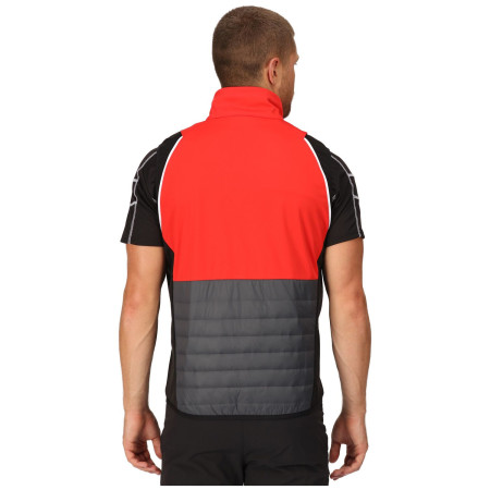 Chaqueta de hombre Regatta Steren Hybrid