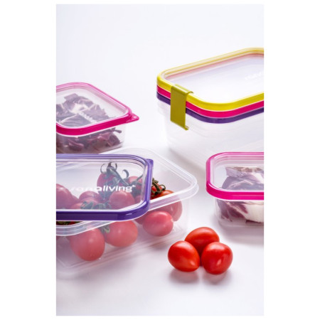 Caja de alimentos Omada Sanaliving Box Set 3x 19x14x13,5cm/2,1L