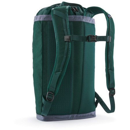 Mochila Patagonia Fieldsmith Linked Pack 24L