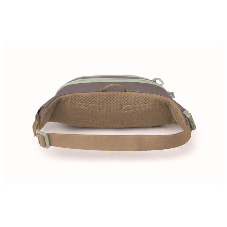 Riñonera Osprey Daylite Waist Pack