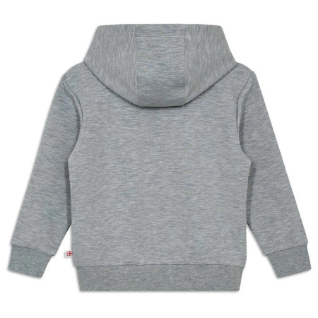 Sudadera para niños Lego Wear Lwsky 600 Grey