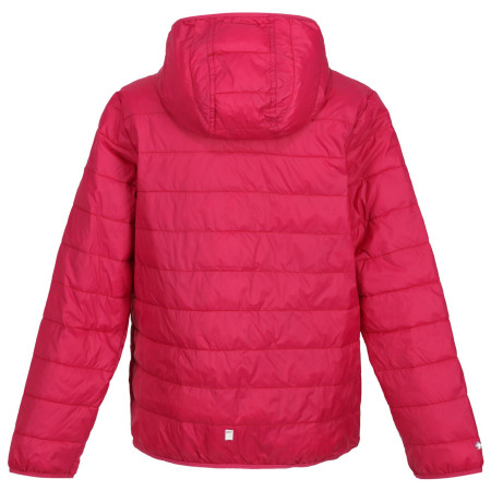 Chaqueta para niños Regatta Jr Hooded Hillpck