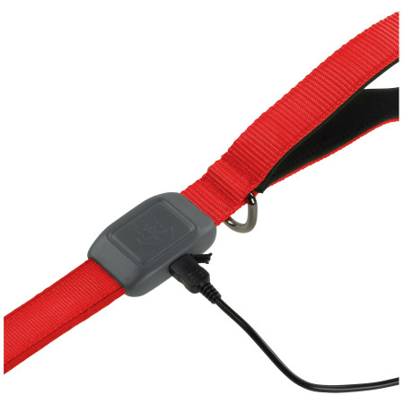 Correa para perro Nite Ize LED NiteDog